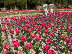 上郡町で開催される祭りや注目のイベント・年間行事をチェック！