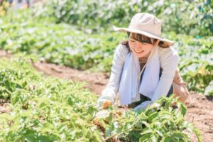 地方移住でのお仕事事情は？職探しの方法とおすすめの職業12選