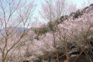 上郡町に移住したい！その前に知っておきたい魅力と利便性について